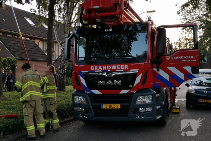 Brandweer doet nieuwe poging kat uit boom te halen