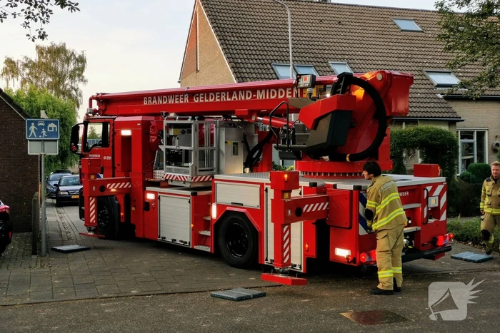 Brandweer doet nieuwe poging kat uit boom te halen