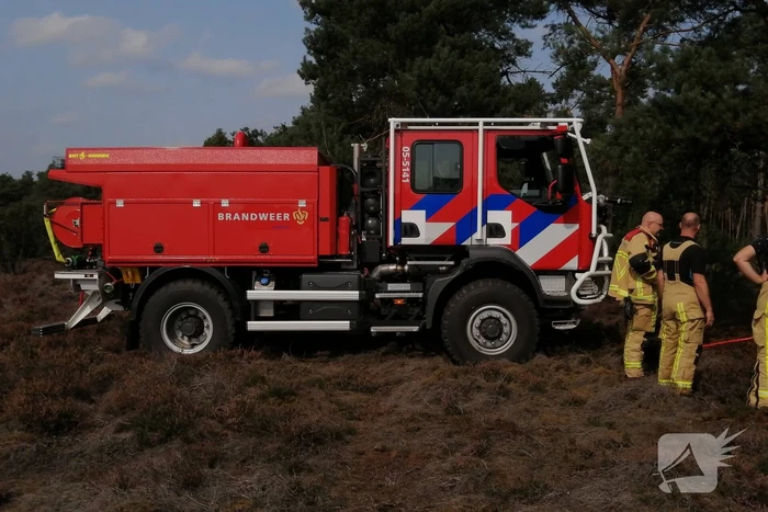 Brand in natuurgebied snel geblust