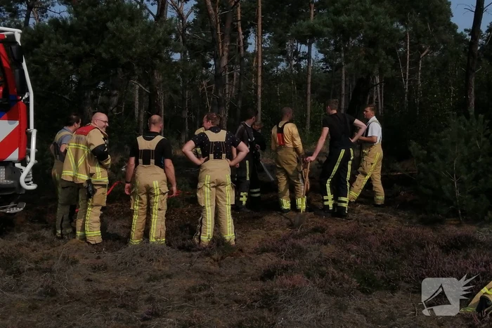 Brand in natuurgebied snel geblust