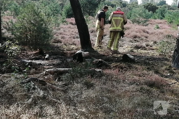 Brand in natuurgebied snel geblust
