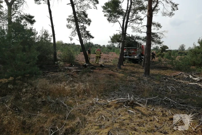 Brand in natuurgebied snel geblust
