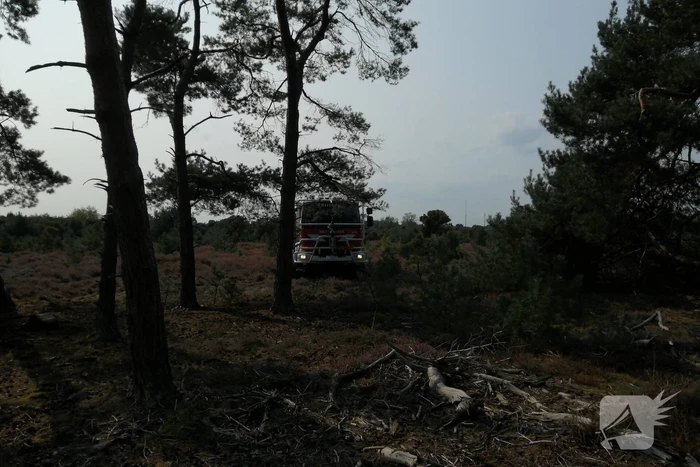 Brand in natuurgebied snel geblust