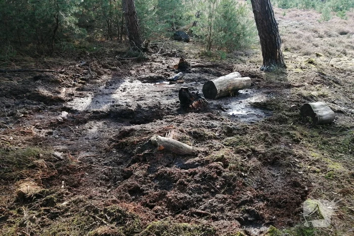 Brand in natuurgebied snel geblust