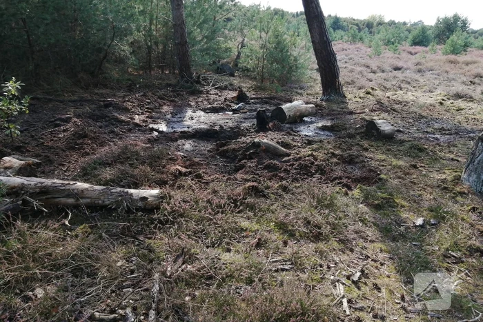 Brand in natuurgebied snel geblust