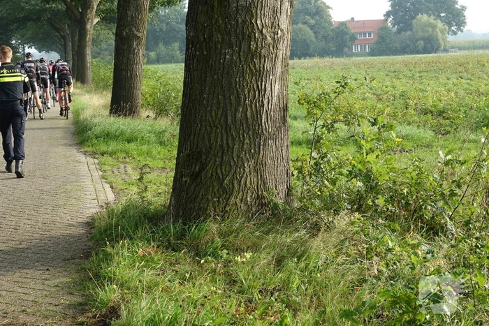Wielrenner raakt gewond bij harde val
