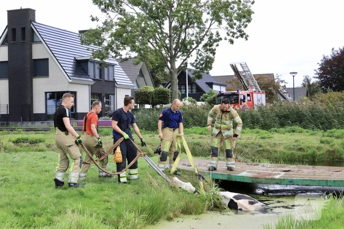 Brandweer trekken koe uit sloot