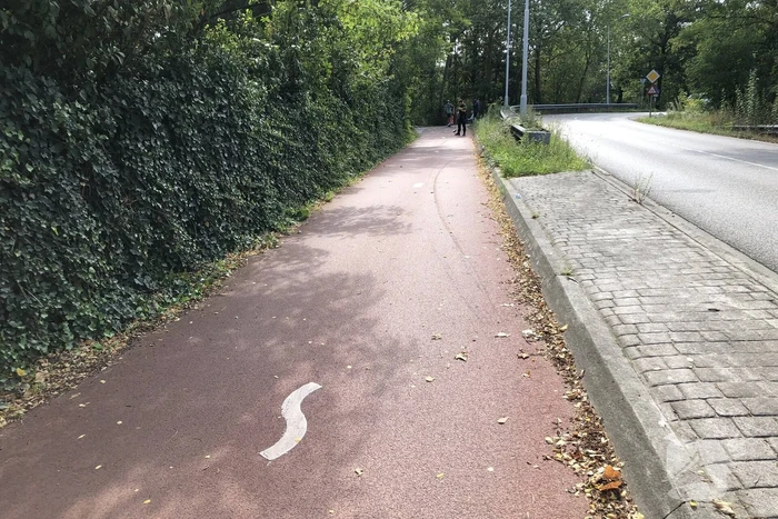 Automobilist knalt tegen vangrail en belandt tegen boom