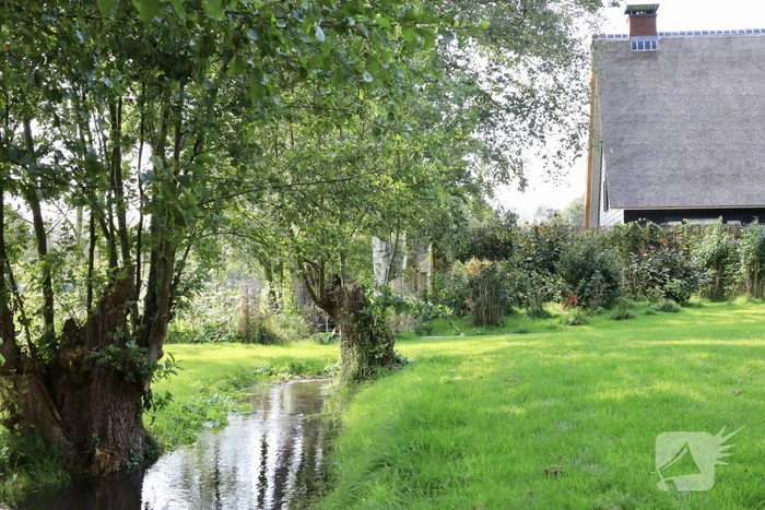 Tuin compleet onder water na leidingbreuk