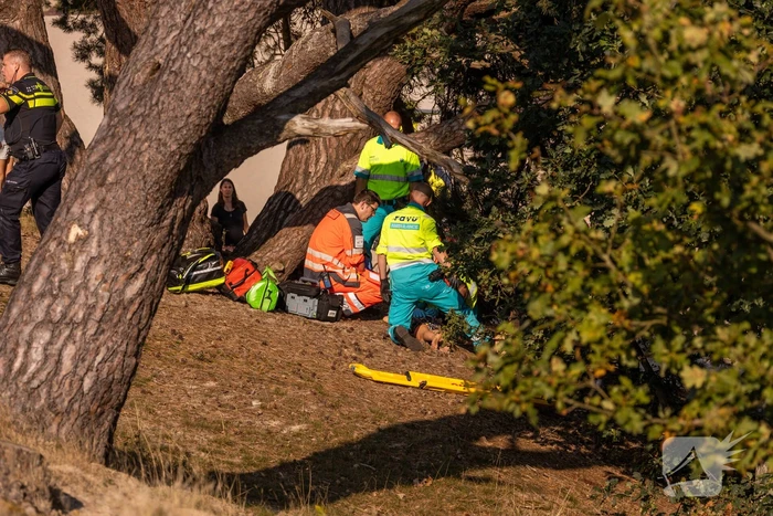 Meisje valt uit boom en raakt zwaargewond