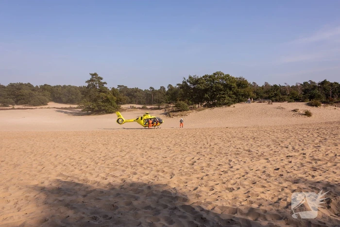 Meisje valt uit boom en raakt zwaargewond