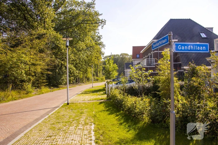 Nieuwe bewoners villawijk redden 17 bomen van kap
