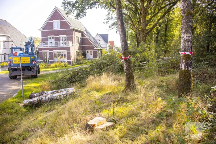 nieuws laan 1914 amersfoort