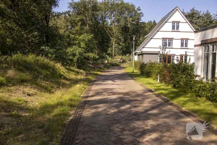 Nieuwe bewoners villawijk redden 17 bomen van kap