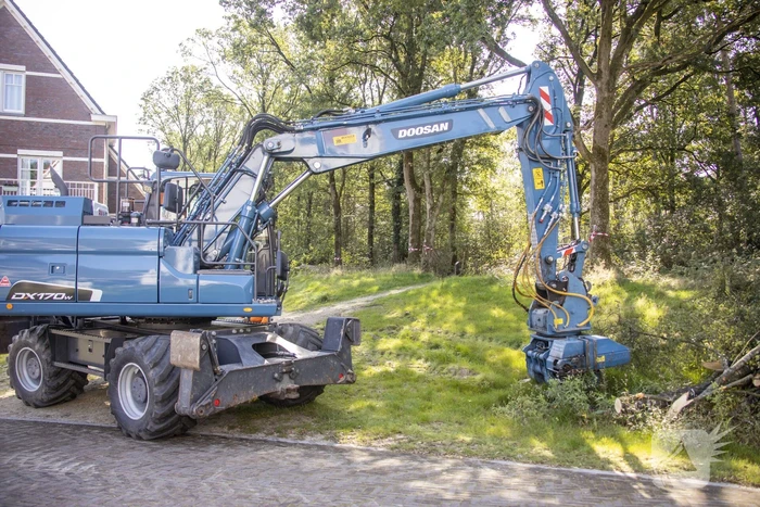 Nieuwe bewoners villawijk redden 17 bomen van kap
