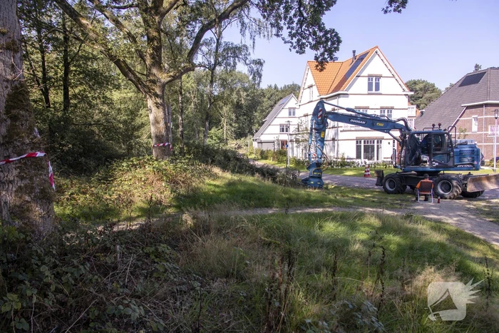 Nieuwe bewoners villawijk redden 17 bomen van kap