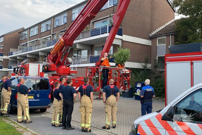 Politie haalt meerdere wietplanten van balkon