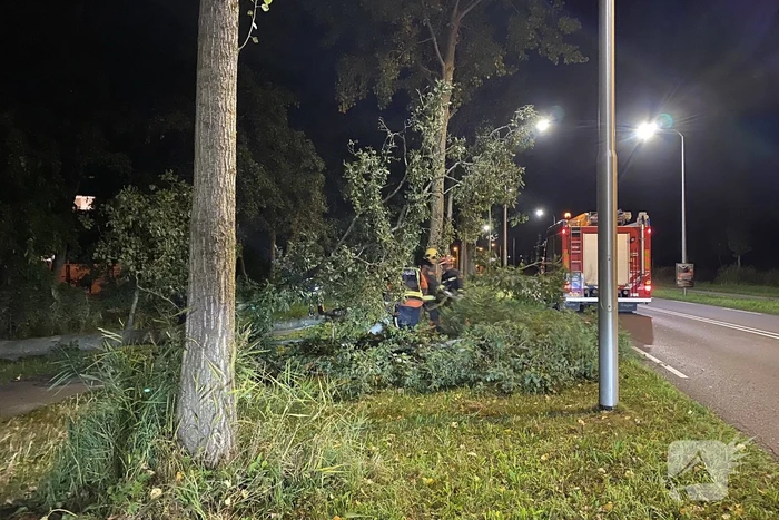 Boom valt over fietspad