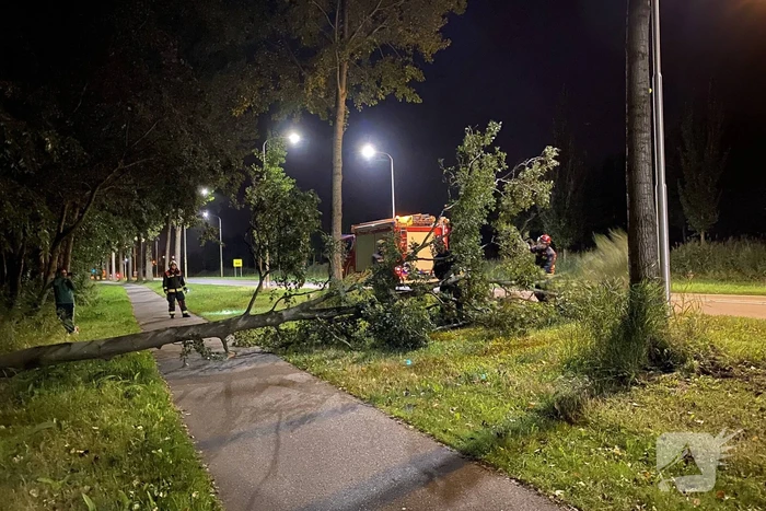 Boom valt over fietspad