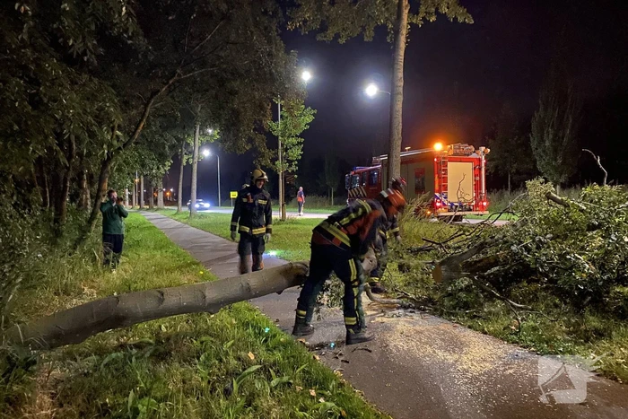 Boom valt over fietspad