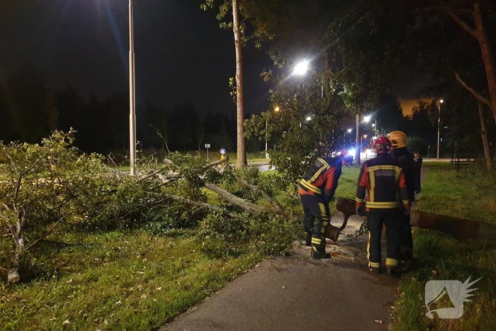 Boom valt over fietspad