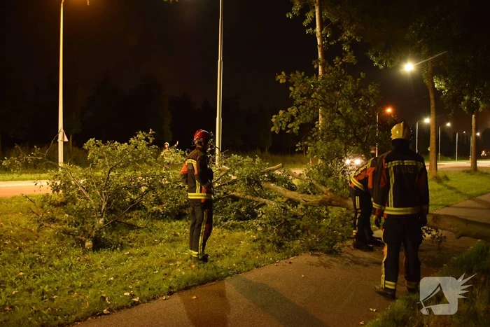Boom valt over fietspad