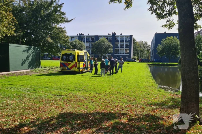 Omstanders redden oudere man uit water