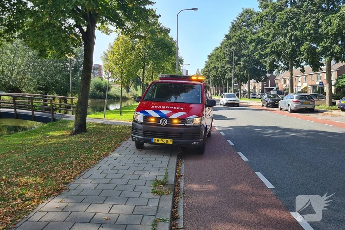 Omstanders redden oudere man uit water