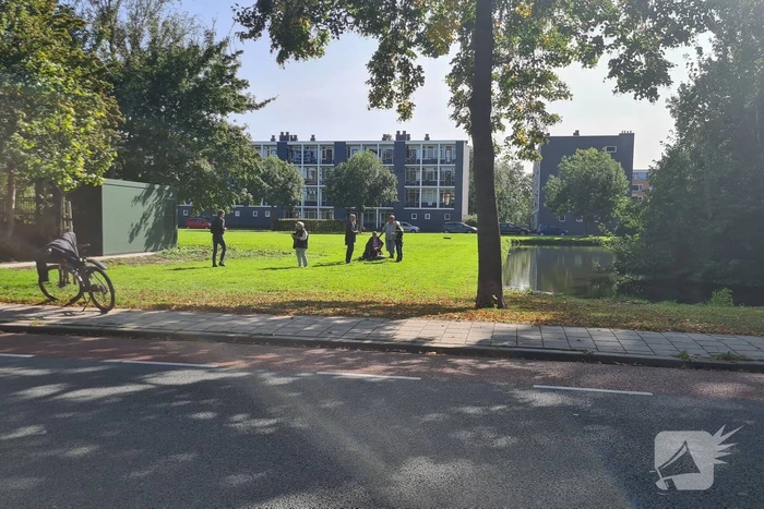 Omstanders redden oudere man uit water