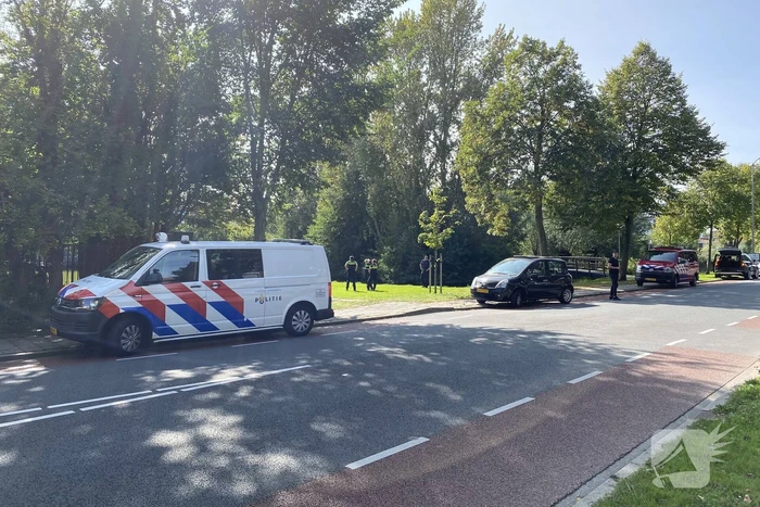 Omstanders redden oudere man uit water
