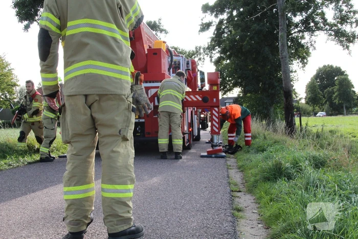 Vuurwerk zorgt voor brand in boom