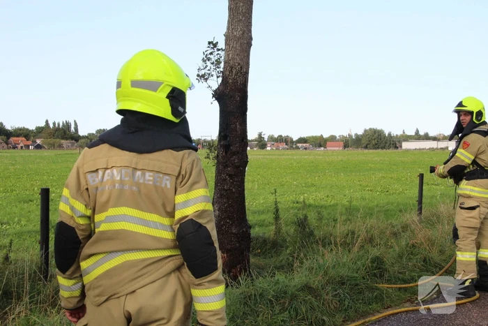 Vuurwerk zorgt voor brand in boom