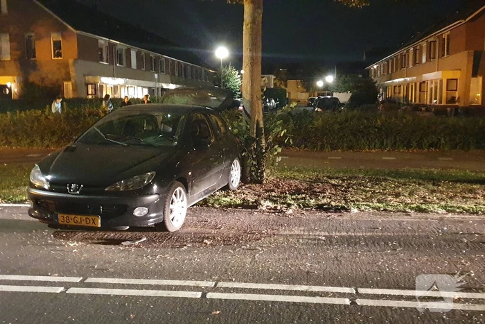 Auto raakt van de weg en raakt boom