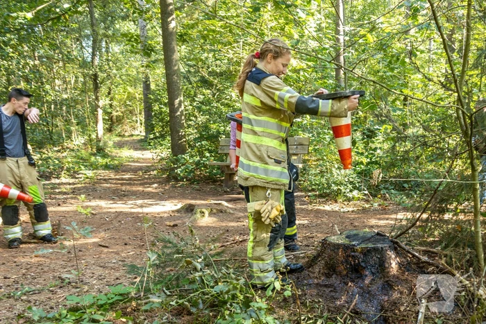 Brandweer blust brand met pionnen