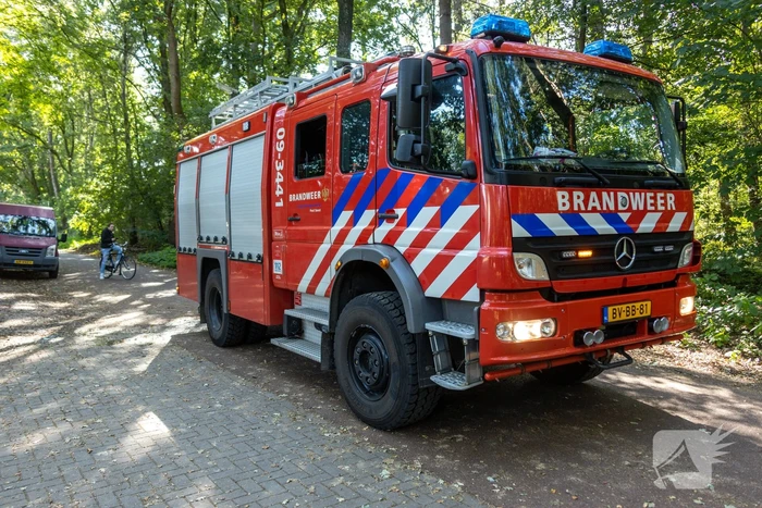 Brandweer blust brand met pionnen