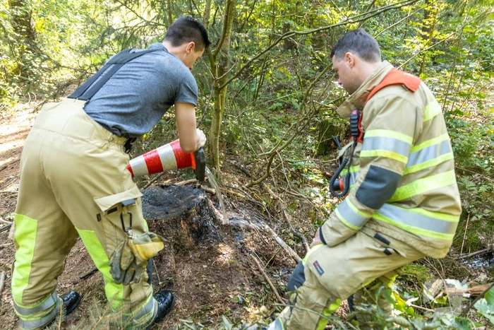 Brandweer blust brand met pionnen