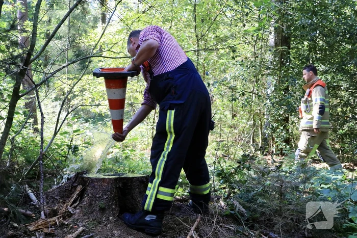 Brandweer blust brand met pionnen