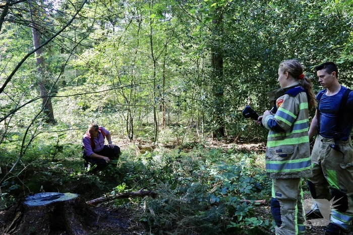 Brandweer blust brand met pionnen