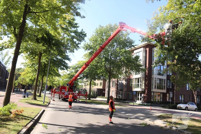 natuur churchillstraat barneveld