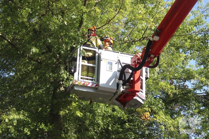 Gevaarlijk hangende takken verwijderd