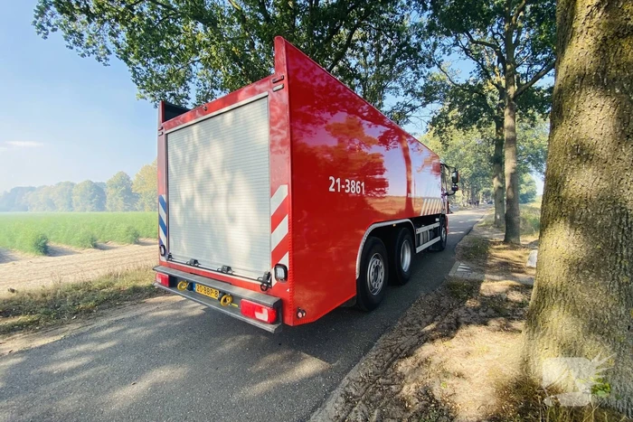 Grote bos heidebrand in natuurgebied