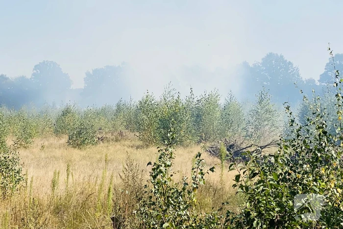 Grote bos heidebrand in natuurgebied