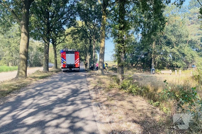 Grote bos heidebrand in natuurgebied