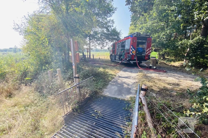 Grote bos heidebrand in natuurgebied