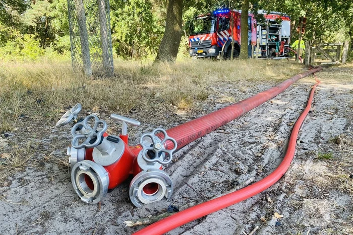 Grote bos heidebrand in natuurgebied