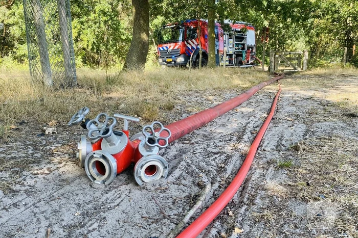 Grote bos heidebrand in natuurgebied