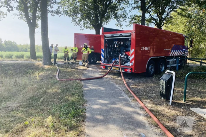 Grote bos heidebrand in natuurgebied
