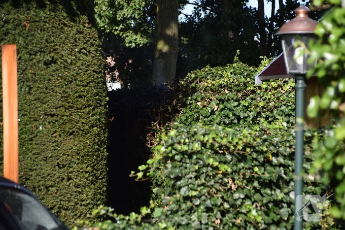 Zithoek en groene haag in brand gestoken