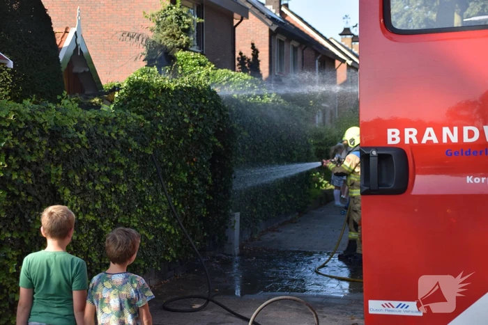 Zithoek en groene haag in brand gestoken
