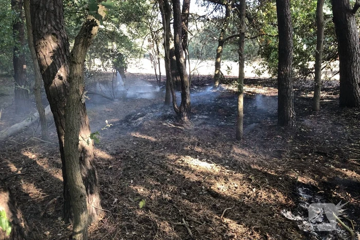 Opnieuw brand in bosgebied